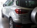 Ford EcoSport   2016 - Bán ô tô Ford EcoSport đời 2016, nhập khẩu