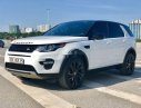 LandRover Discovery   2015 - Bán xe LandRover Discovery năm 2015, nhập khẩu nguyên chiếc