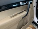 Kia Sorento 2017 - Bán xe Kia Sorento đời 2017, màu trắng, giá chỉ 780 triệu