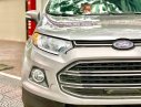 Ford EcoSport   2016 - Cần bán xe Ford EcoSport 2016, xe tư nhân chính chủ