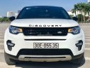 LandRover Discovery   2015 - Bán xe LandRover Discovery năm 2015, nhập khẩu nguyên chiếc