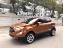 Ford EcoSport 2019 - Cần bán xe Ford EcoSport năm 2019, màu nâu như mới giá cạnh tranh