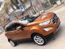 Ford EcoSport 2019 - Cần bán xe Ford EcoSport năm 2019, màu nâu như mới giá cạnh tranh