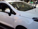 Ford EcoSport 2016 - Cần bán Ford EcoSport đời 2016, xe nhập giá cạnh tranh