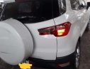 Ford EcoSport 2014 - Cần bán xe Ford EcoSport sản xuất 2014, màu trắng, giá tốt