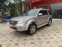 Ford Everest 2011 - Bán Ford Everest năm 2011, màu phấn hồng