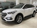 Hyundai Santa Fe 2.2L 4WD 2017 - Bán Hyundai Santa Fe 2.2L 4WD đời 2017, màu trắng