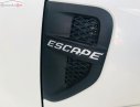 Ford Escape   2010 - Cần bán xe Ford Escape năm sản xuất 2010, màu trắng, 395 triệu