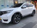 Honda CR V   1.5   2019 - Bán xe Honda CR V 1.5 sản xuất 2019, màu trắng, nhập khẩu, 985 triệu