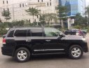 Toyota Land Cruiser 2011 - Bán Toyota Land Cruiser năm sản xuất 2011, màu đen, xe nhập