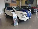 Ford EcoSport   2019 - Cần bán xe Ford EcoSport sản xuất năm 2019, giảm ngay tiền mặt