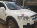 Chevrolet Captiva   2007 - Cần bán Chevrolet Captiva năm sản xuất 2007, máy dầu 2 cầu