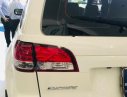 Ford Escape   2010 - Cần bán xe Ford Escape năm sản xuất 2010, màu trắng, 395 triệu