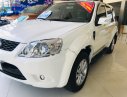 Ford Escape   2010 - Cần bán xe Ford Escape năm sản xuất 2010, màu trắng, 395 triệu