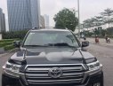 Toyota Land Cruiser 2011 - Bán Toyota Land Cruiser năm sản xuất 2011, màu đen, xe nhập