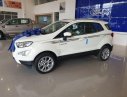 Ford EcoSport   2019 - Cần bán xe Ford EcoSport sản xuất năm 2019, giảm ngay tiền mặt