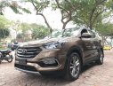 Hyundai Santa Fe 2.2L 4WD 2016 - Bán xe Hyundai Santa Fe 2.2L 4WD đời 2016, màu nâu, giá chỉ 960 triệu