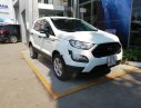 Ford EcoSport   2019 - Bán Ford EcoSport 2019, màu trắng, giá chỉ 499 triệu