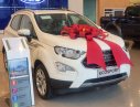 Ford EcoSport   2019 - Bán Ford EcoSport 2019, màu trắng, giá chỉ 499 triệu