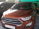 Ford EcoSport 2018 - Bán Ford EcoSport sản xuất 2018 chính chủ