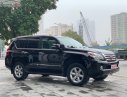 Lexus GX 2010 - Bán ô tô Lexus GX 460 năm 2010, màu đen, xe nhập