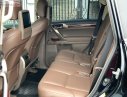 Lexus GX 2010 - Bán ô tô Lexus GX 460 năm 2010, màu đen, xe nhập