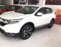 Honda CR V 2019 - Honda ô tô Đồng Nai bán Honda CRV 2020 bản 1.5E, giảm tiền mặt, tặng phụ kiện, trả 300tr nhận xe ngay gọi 0908.438.214
