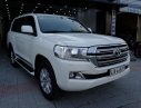 Toyota Land Cruiser    2019 - Bán xe Toyota Land Cruiser năm 2019, nhập khẩu nguyên chiếc