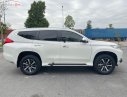 Mitsubishi Pajero 2018 - Bán ô tô Mitsubishi Pajero năm 2018, màu trắng, nhập khẩu nguyên chiếc