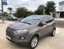 Ford EcoSport 2017 - Bán xe Ford EcoSport năm 2017, màu xám, 521tr