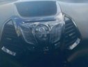 Ford EcoSport    Titanium   2016 - Cần bán Ford EcoSport Titanium năm 2016, nhập khẩu nguyên chiếc còn mới 