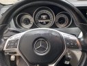 Mercedes-Benz C class   C300  2011 - Cần bán Mercedes C300 sản xuất năm 2011