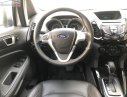 Ford EcoSport 2017 - Bán Ford EcoSport sản xuất 2017, màu bạc xe gia đình giá cạnh tranh