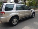 Ford Escape 2009 - Cần bán gấp Ford Escape năm sản xuất 2009, màu ghi hồng, giá cạnh tranh