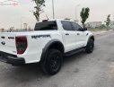 Ford Ranger 2019 - Bán ô tô Ford Ranger sản xuất năm 2019, màu trắng, nhập khẩu nguyên chiếc