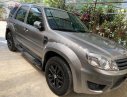 Ford Escape 2009 - Xe Ford Escape đời 2009, màu xám chính chủ, giá tốt