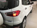 Ford EcoSport 2016 - Cần bán gấp Ford EcoSport năm 2016, màu trắng, giá 485tr
