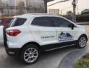 Ford EcoSport   2019 - Bán ô tô Ford EcoSport đời 2019, màu trắng