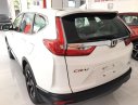 Honda CR V 2019 - Honda ô tô Đồng Nai bán Honda CRV 2020 bản 1.5E, giảm tiền mặt, tặng phụ kiện, trả 300tr nhận xe ngay gọi 0908.438.214