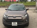 Ford EcoSport 2017 - Bán Ford EcoSport năm sản xuất 2017, màu nâu số tự động, giá 500tr