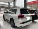 Toyota Land Cruiser    2016 - Bán ô tô Toyota Land Cruiser đời 2016, nhập khẩu
