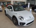 Volkswagen Beetle Dune   2019 - Bán Volkswagen Beetle Dune sản xuất 2019, màu trắng, nhập khẩu