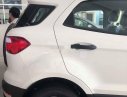Ford EcoSport 2019 - Bán xe Ford EcoSport sản xuất năm 2019, màu trắng
