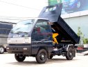 Suzuki Super Carry Truck 2019 - Sài Gòn Ngôi Sao - Cần bán xe Suzuki Super Carry Truck năm 2019, màu xanh lam