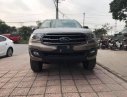 Ford Everest 2019 - Bán ô tô Ford Everest sản xuất 2019, nhập khẩu nguyên chiếc