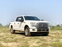 Ford F 150 Platinum 2015 - Bán xe cũ Ford F150 Platinum 2015, xe chạy ít, giá call 0979.87.88.89