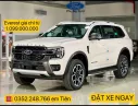 Hãng khác Khác 2024 - Tiền Giang FORD Ford Everest, Ranger, Raptor,stormtrak,Platium