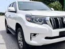 Hãng khác Khác 2018 - Nhập đội: TOYOTA PRADO 2.7VX 2018 fom mới 