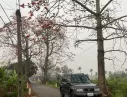 Hãng khác Khác 2005 - Chính chủ bán xe Vitara 2005