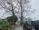 Hãng khác Khác 2005 - Chính chủ bán xe Vitara 2005